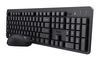 Scheda Tecnica: Trust Mouse Keyboard ODY II WL BLK US IT - 